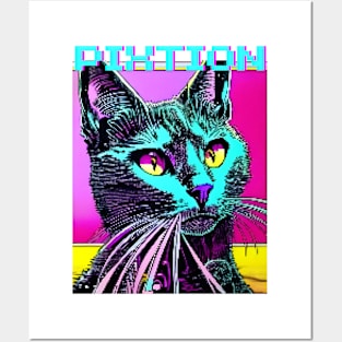 cat  stare Posters and Art